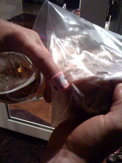 photo.jpg